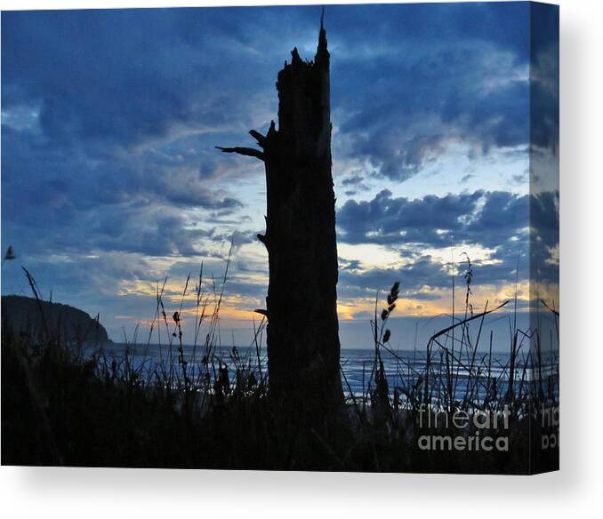 Silohuettes Canvas Print featuring the photograph Evening Silohuettes by Michele Penner