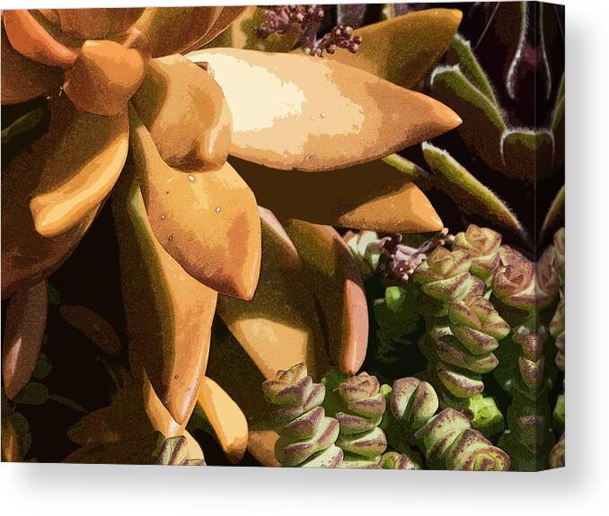 Succulant Canvas Print featuring the photograph Exotica 7 by Jessica Levant