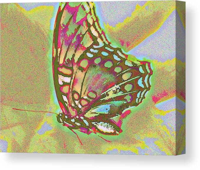 Butterfly Canvas Print featuring the photograph Experiment In Aesthetic Engineering by Andy Rhodes