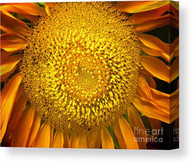 Flowers Canvas Print featuring the photograph f2 by Tom Griffithe