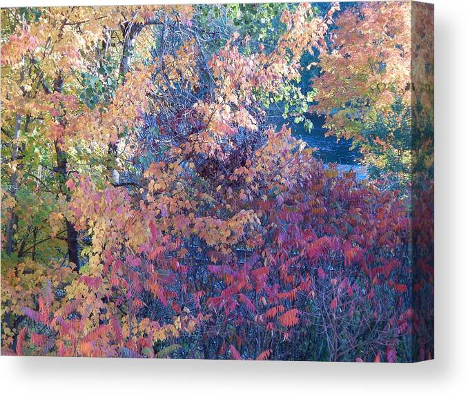 Landscape Canvas Print featuring the photograph Fall 2016 7 by George Ramos