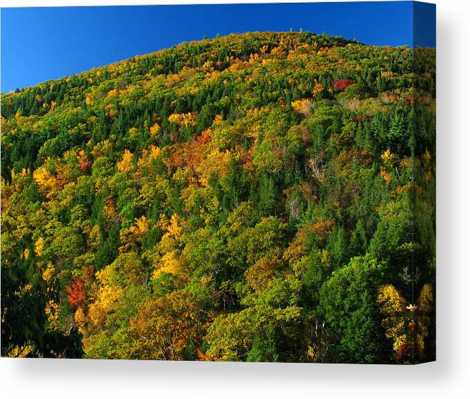 Landscape Canvas Print featuring the photograph Fall Foliage Photography by Juergen Roth