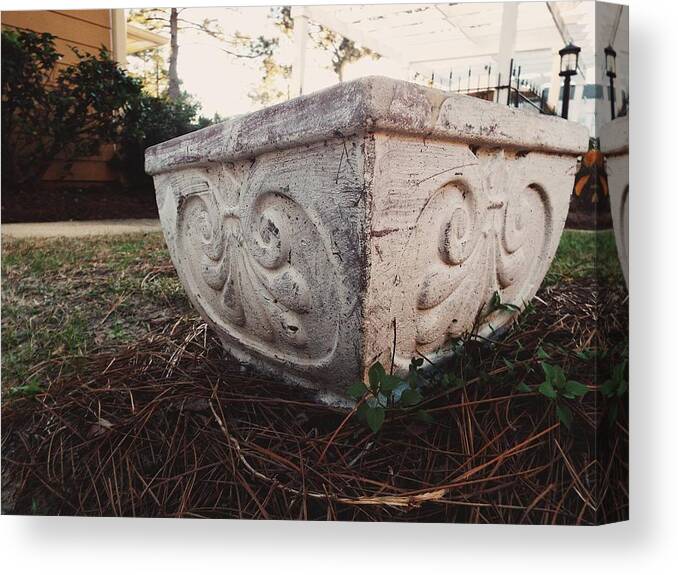 Outdoors. Pottery. Garden Pot. Flower Pot. Plant Pot. Faded White Paint. Antique White Paint. Distressed White Paint. Grass. Pine Straw. Bushes. Lamp Post. Royal. Canvas Print featuring the photograph Fancy Pottery by Shelby Boyle