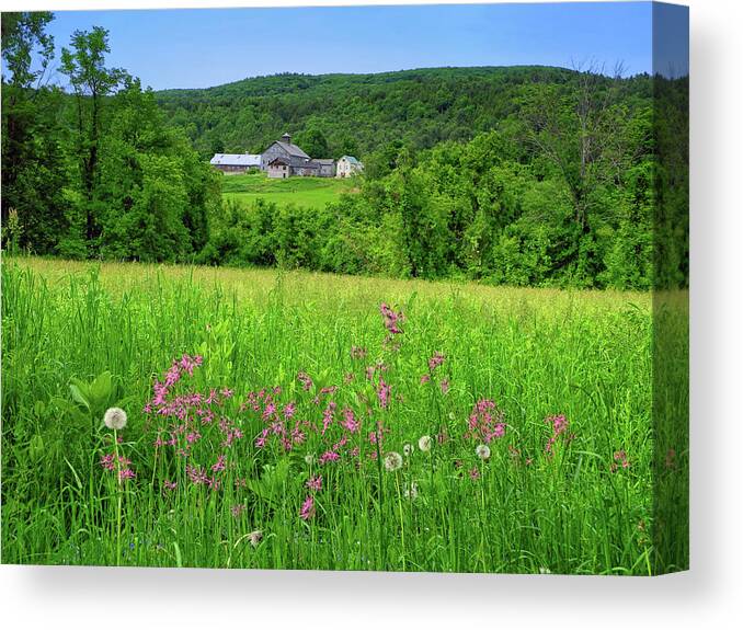 Farm Along The Ma At With Wildflowers Canvas Print featuring the photograph Farm Along the MA AT with Wildflowers by Raymond Salani III