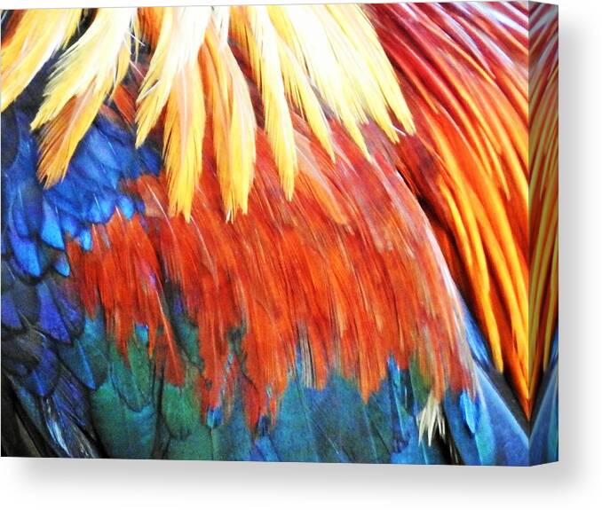 Feathers Canvas Print featuring the photograph Feather Paint by Jan Gelders