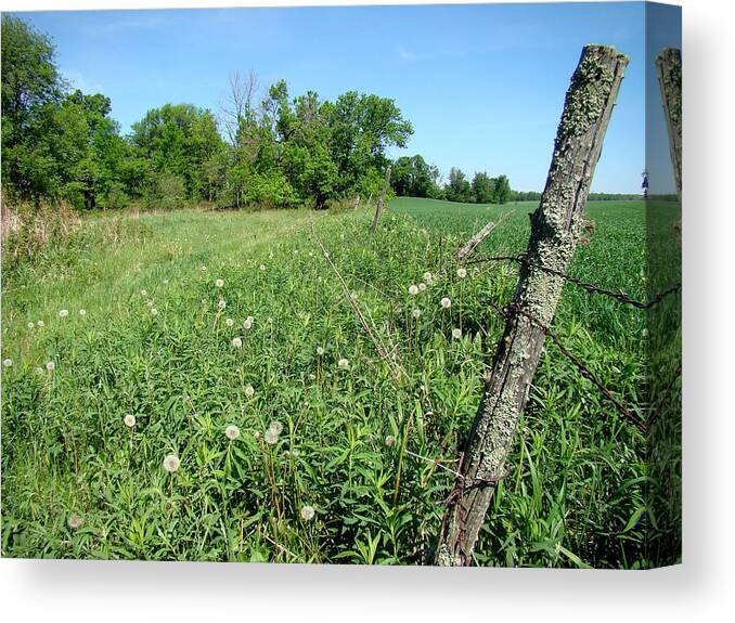 Landscape Canvas Print featuring the photograph Fence Post by Todd Zabel