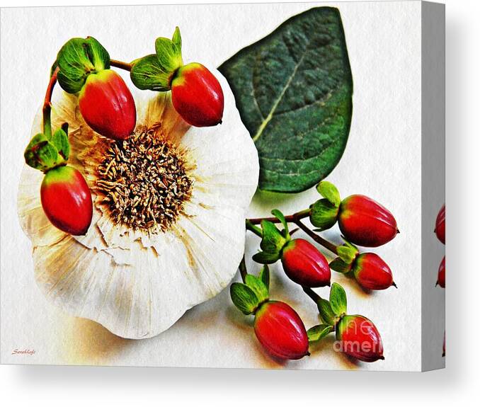 Garlic Canvas Print featuring the photograph Festive Garlic by Sarah Loft