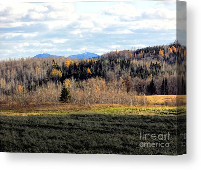 Fields and Folds Canvas Print Canvas Art by William Tasker Pixels Canvas
