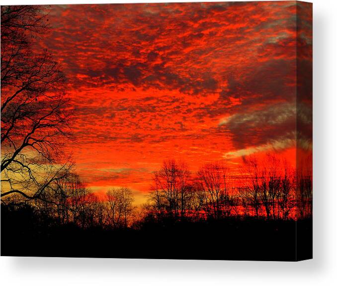 Akeview Canvas Print featuring the photograph Fire in the sky by Aron Chervin