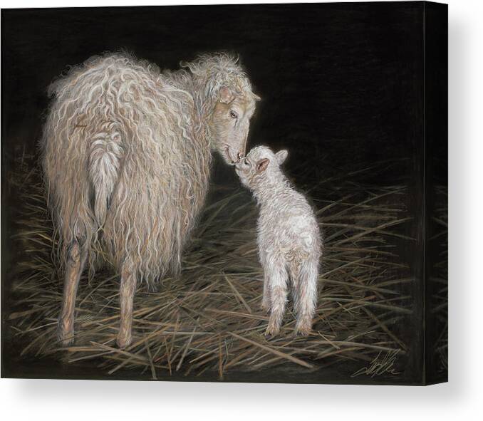 Sheep Canvas Print featuring the painting First Born by Terry Kirkland Cook