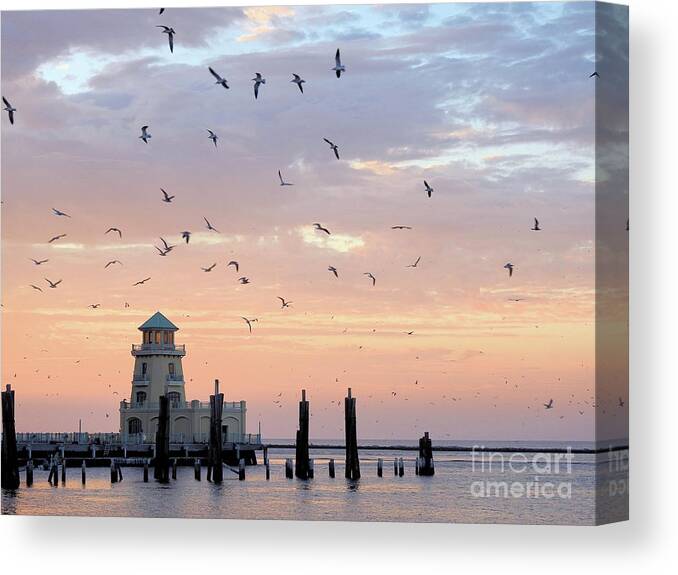 Marina-lighthouse-beau Rivage Canvas Print featuring the photograph First Flight at First Light by Scott Cameron