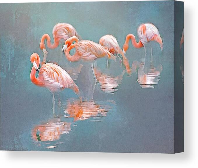 Flamingos Canvas Print featuring the photograph Flamingo Blues by Brian Tarr