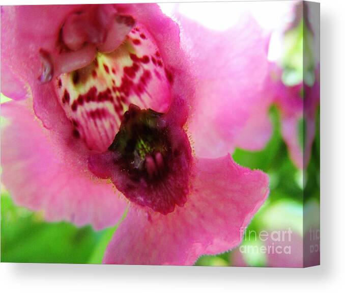 Floral Canvas Print featuring the photograph Floral Mask by Sharon Ackley