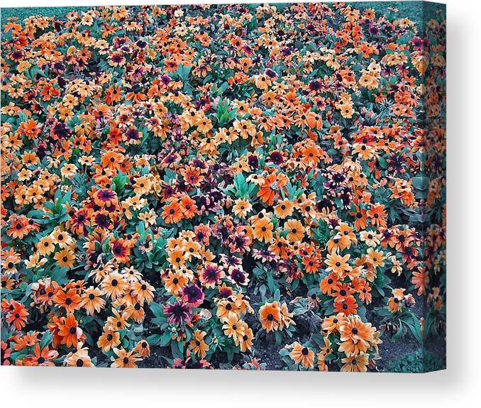 Colorful Canvas Print featuring the photograph Flower Garden 5 by Ernest Echols