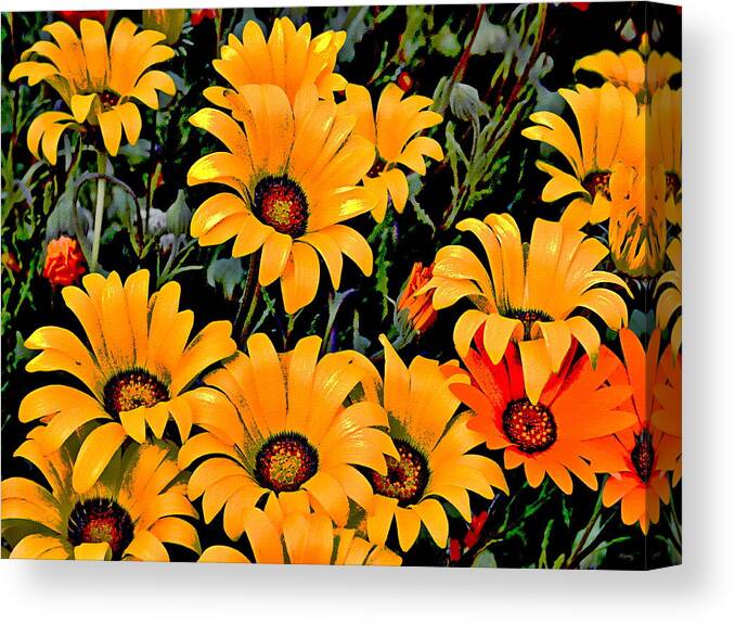 Flower Power Canvas Print featuring the photograph Flower Power 2 by Glenn McCarthy Art and Photography