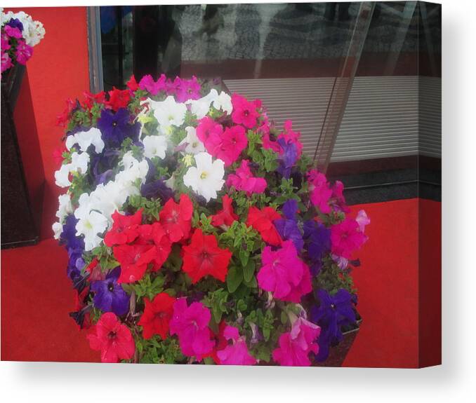 Flowers Canvas Print featuring the photograph flowers in front of a hotel in Lisbon by Anamarija Marinovic