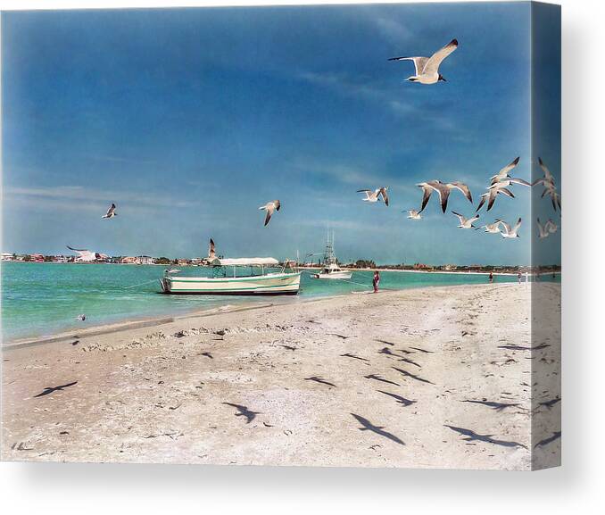 Florida Canvas Print featuring the photograph Fly Shadow Fly by Hanny Heim
