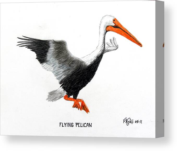 Wall Art Poster Flying With Pelican Art//Canvas Print Home Decor