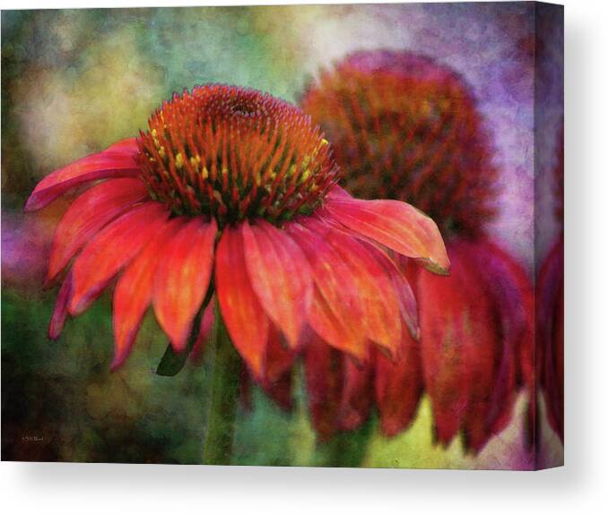 Impressionist Canvas Print featuring the photograph Fondness 2751 IDP_2 by Steven Ward