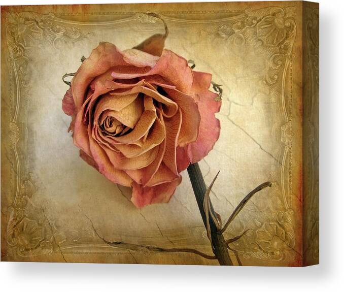 Flower Canvas Print featuring the photograph For You by Jessica Jenney