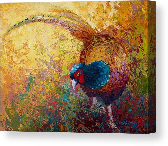 Pheasant Canvas Print featuring the painting Foraging Pheasant by Marion Rose