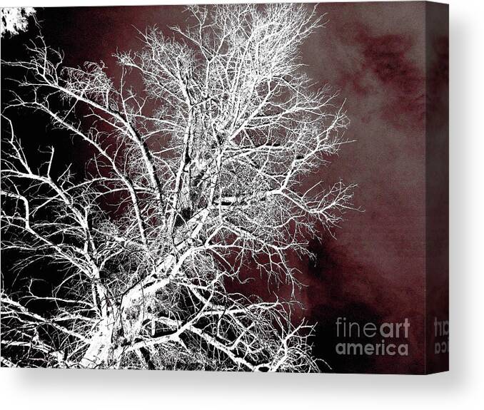 Tree Canvas Print featuring the photograph Forest Ghosts - 003 Abstract Fire by Jor Cop Images