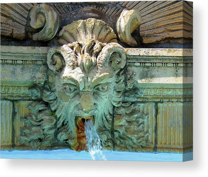 Thousand Island Canvas Print featuring the photograph The Fountain by Dennis McCarthy