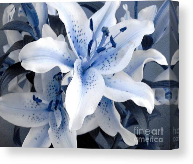 Blue Canvas Print featuring the photograph Freeze by Shelley Jones