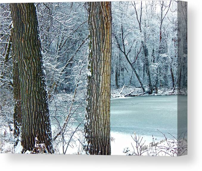 Winter Canvas Print featuring the photograph Frosted Swamp by Wild Thing