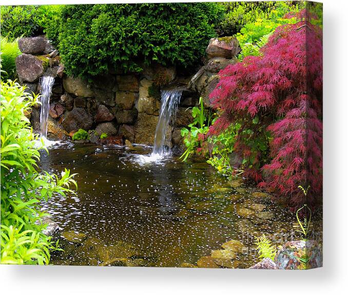 Pond Canvas Print featuring the photograph Garden Pond by Mim White