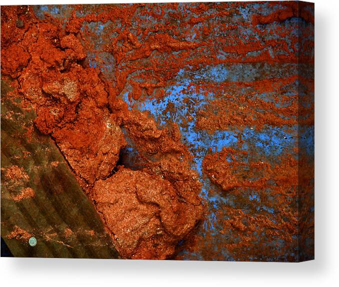Clay Canvas Print featuring the photograph Georgia by Mark Holbrook