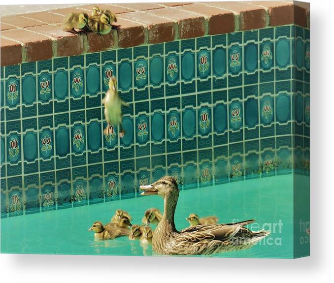 Duck Canvas Print featuring the photograph Geronimo by Laurie Morgan