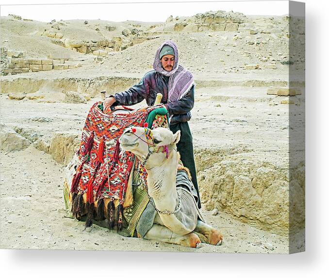 Egypt Canvas Print featuring the photograph Giza Camel Taxi by Joseph Hendrix