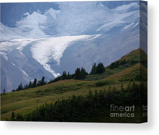 Glacier Canvas Print featuring the photograph Glacier Tongue Scours The Valley Far Below by Greg Hammond