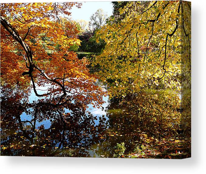 Autumn Canvas Print featuring the photograph Golden Autumn Trees by Susan Savad
