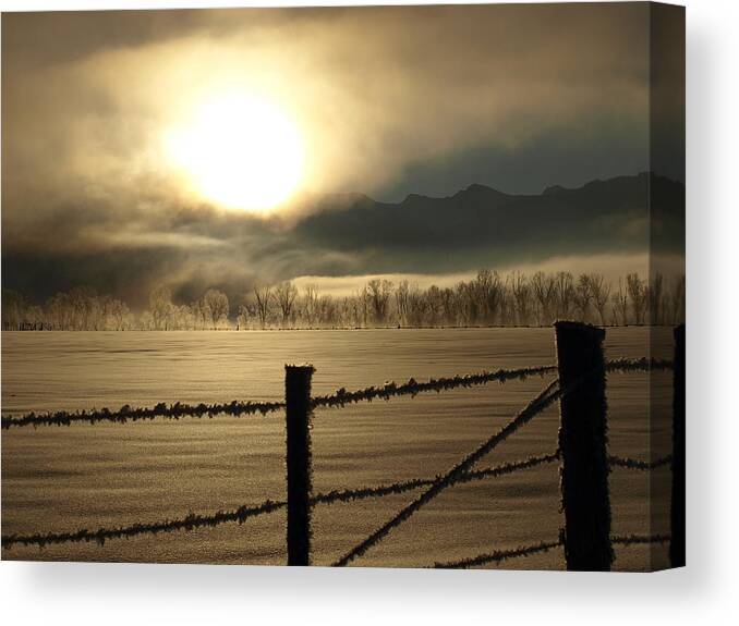 Frost Canvas Print featuring the photograph Golden Morning by DeeLon Merritt