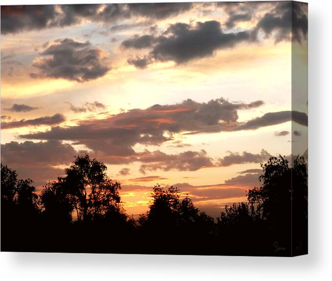 Sun Canvas Print featuring the photograph Golden Sunset by Christopher Spicer