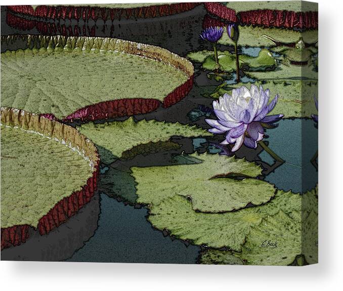 Lilies Canvas Print featuring the photograph Good Form by Gordon Beck