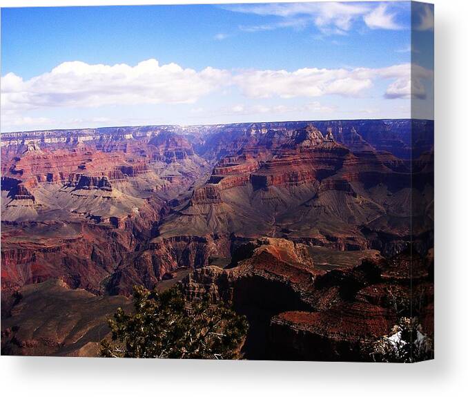 Landscape Canvas Print featuring the photograph Grand Canyon March by Kris Wilkie