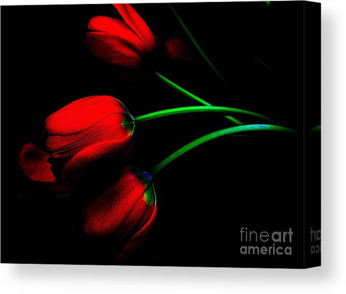 Tulips Canvas Print featuring the photograph Gratitude by Elfriede Fulda