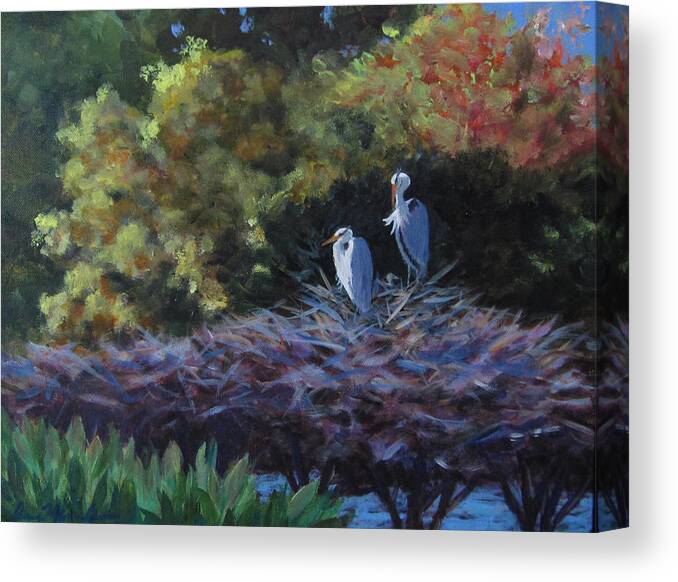 Heron Canvas Print featuring the painting Green Cay Family by Anne Marie Brown