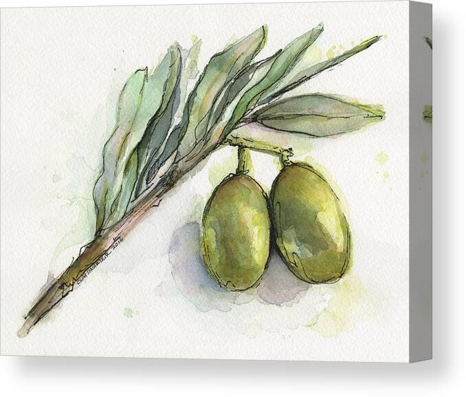 Green Olives Canvas Print featuring the painting Green Olives on a Branch by Olga Shvartsur