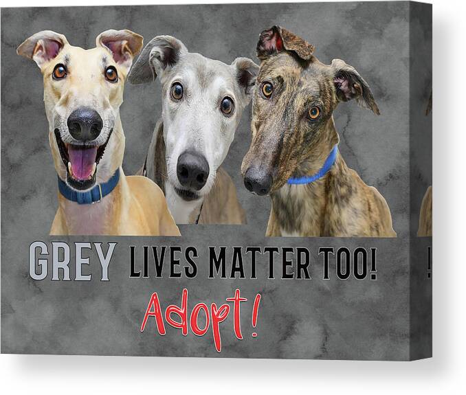Greyhound Canvas Print featuring the painting Grey Lives Matter TOO ADOPT by Elaine Plesser