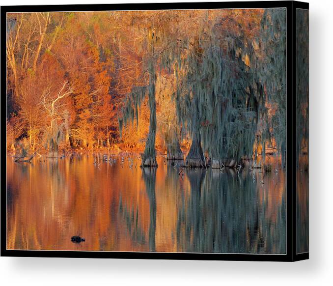 Orcinus Fotograffy Canvas Print featuring the photograph Reflections Of The Dead And Dying by Kimo Fernandez