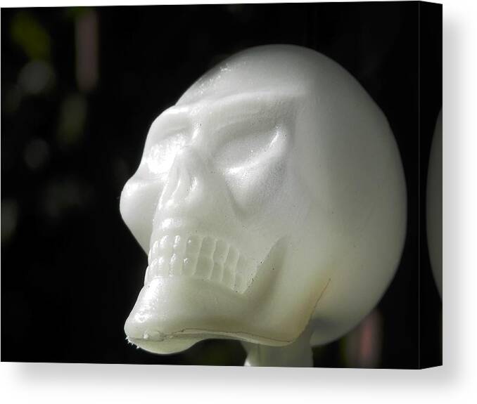 #skull #glowing #skeleton #halloween #hanging #lonely #cypressmyrtletree Canvas Print featuring the photograph Happy Skeloween by Belinda Lee