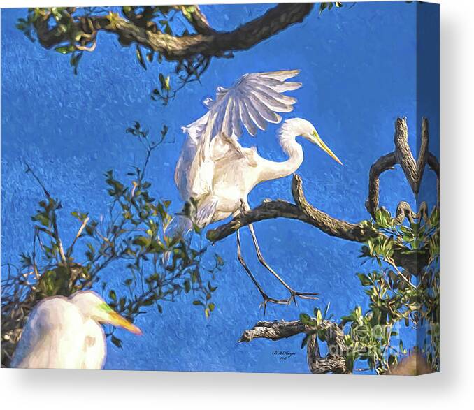 Egrets Canvas Print featuring the digital art Hard Landing by DB Hayes