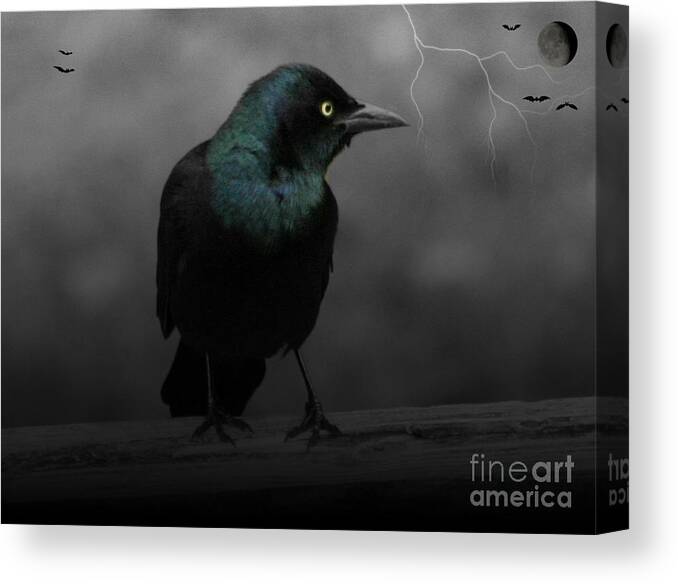 Bird Canvas Print featuring the photograph Haunting by Barbara S Nickerson