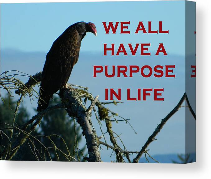 Oregon Canvas Print featuring the photograph We All Have A Purpose by Gallery Of Hope