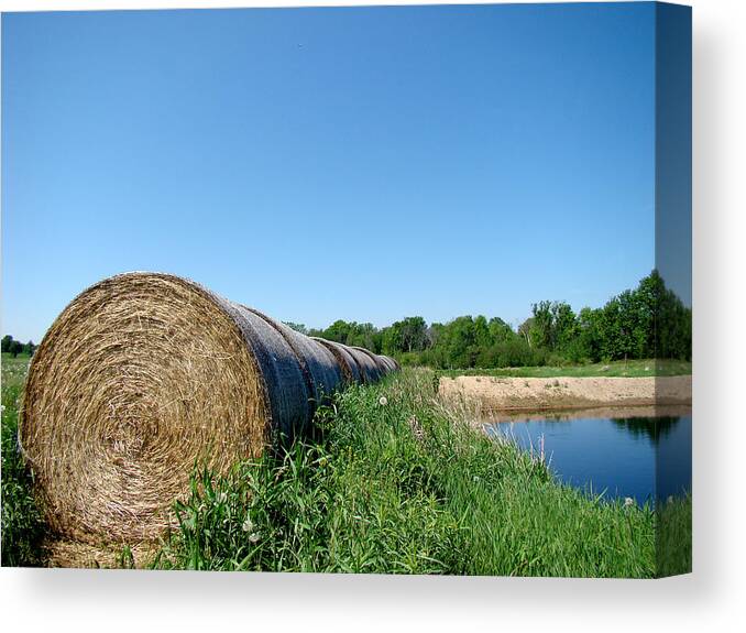 Landscape Canvas Print featuring the photograph Hay Roll by Todd Zabel
