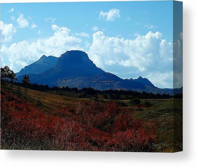 Heart Butte Mountain Canvas Print featuring the photograph Heart Butte Mountain, Fall by Tracey Vivar